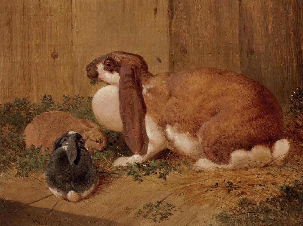 Benjamin Herring, Jun. - A Lop-Eared Doe Rabbit and her Young