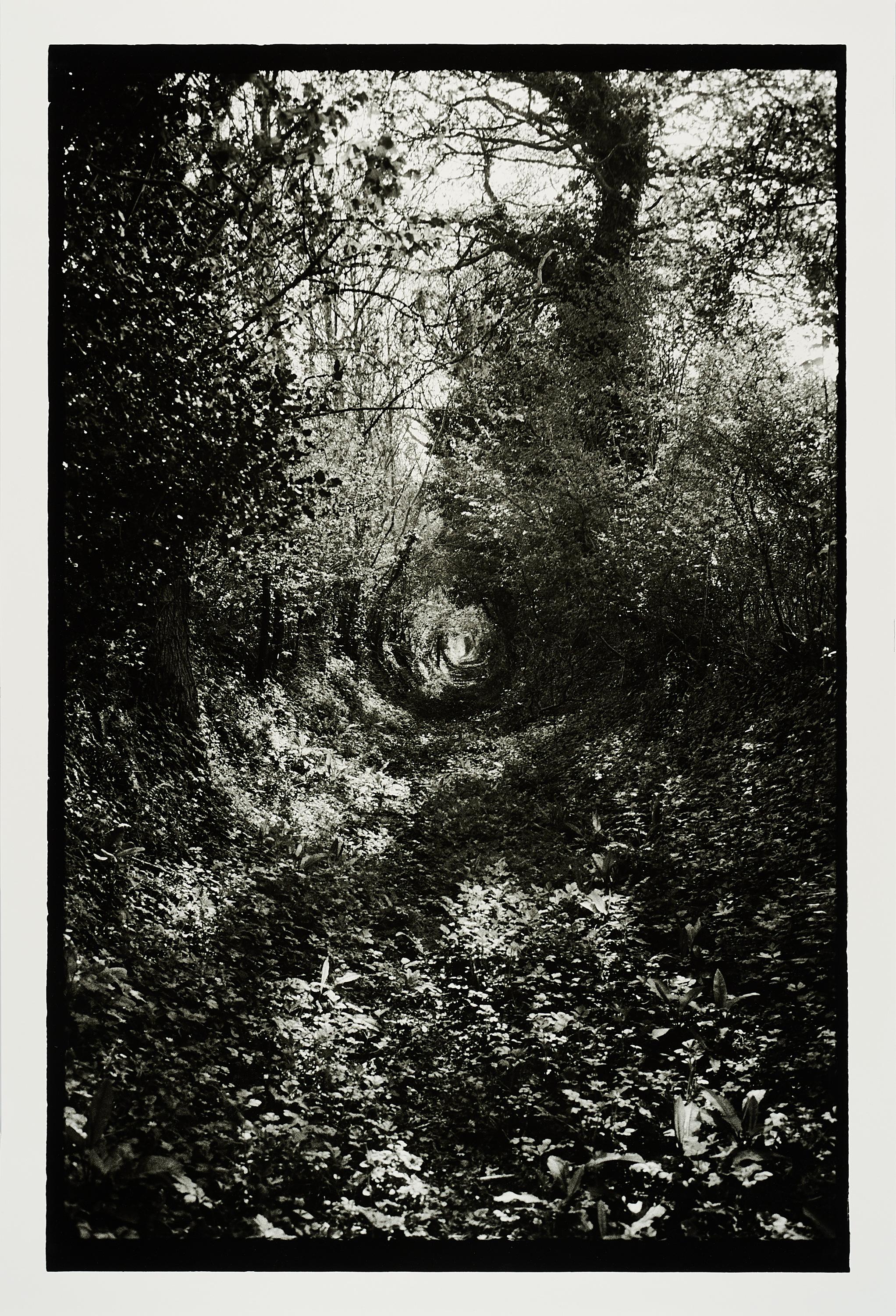 Benjamin Katz - Normandie.