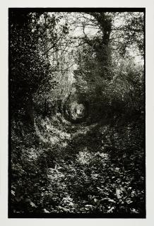 Benjamin Katz - Normandie.