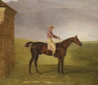 Benjamin Marshall - British mr. Henry Vansittart\'S Chestnut Colt Burleigh With Sam Chifney Up, By The Rubbing-Down House At Newmarket
