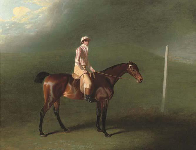 Benjamin Marshall - Sir Charles Bunbury\'S Bay Filly With Jockey Up On Newmarket Heath