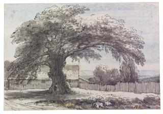 Benjamin West, P.R.A. - Tree In A Field With A Barn Beyond