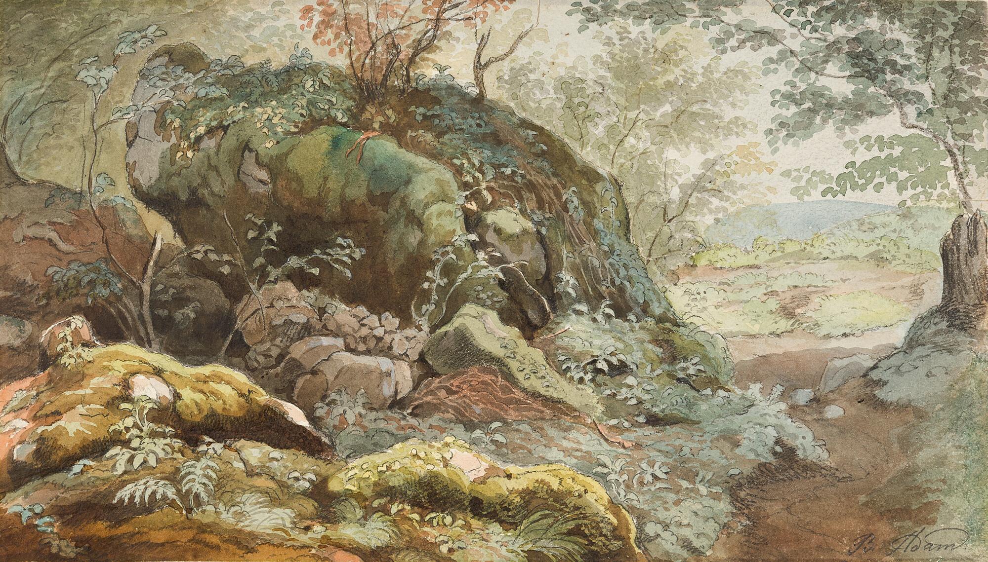 Benno Adam - Felsen im Wald.