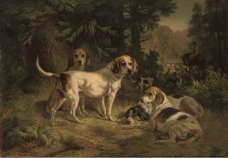 Benno Raffael Adam - Hounds Resting In A Woodland Clearing With Huntsmen Beyond