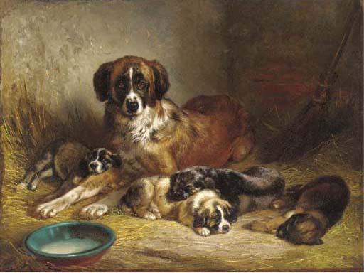 Beno Adam - A St. Bernard with it\'s litter