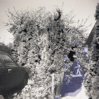 Berend Strik - Flies Like A Bullet