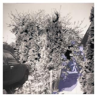 Berend Strik - Flies Like A Bullet