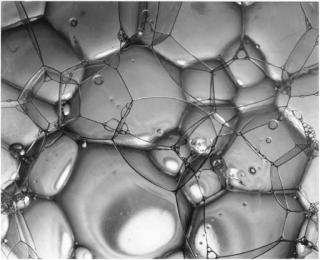 Berenice Abbott - Bubbles