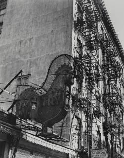 Berenice Abbott - Poultry Store. East 7th Street, Manhattan
