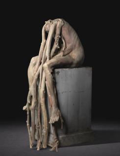 Berlinde De Bruyckere - Marthe