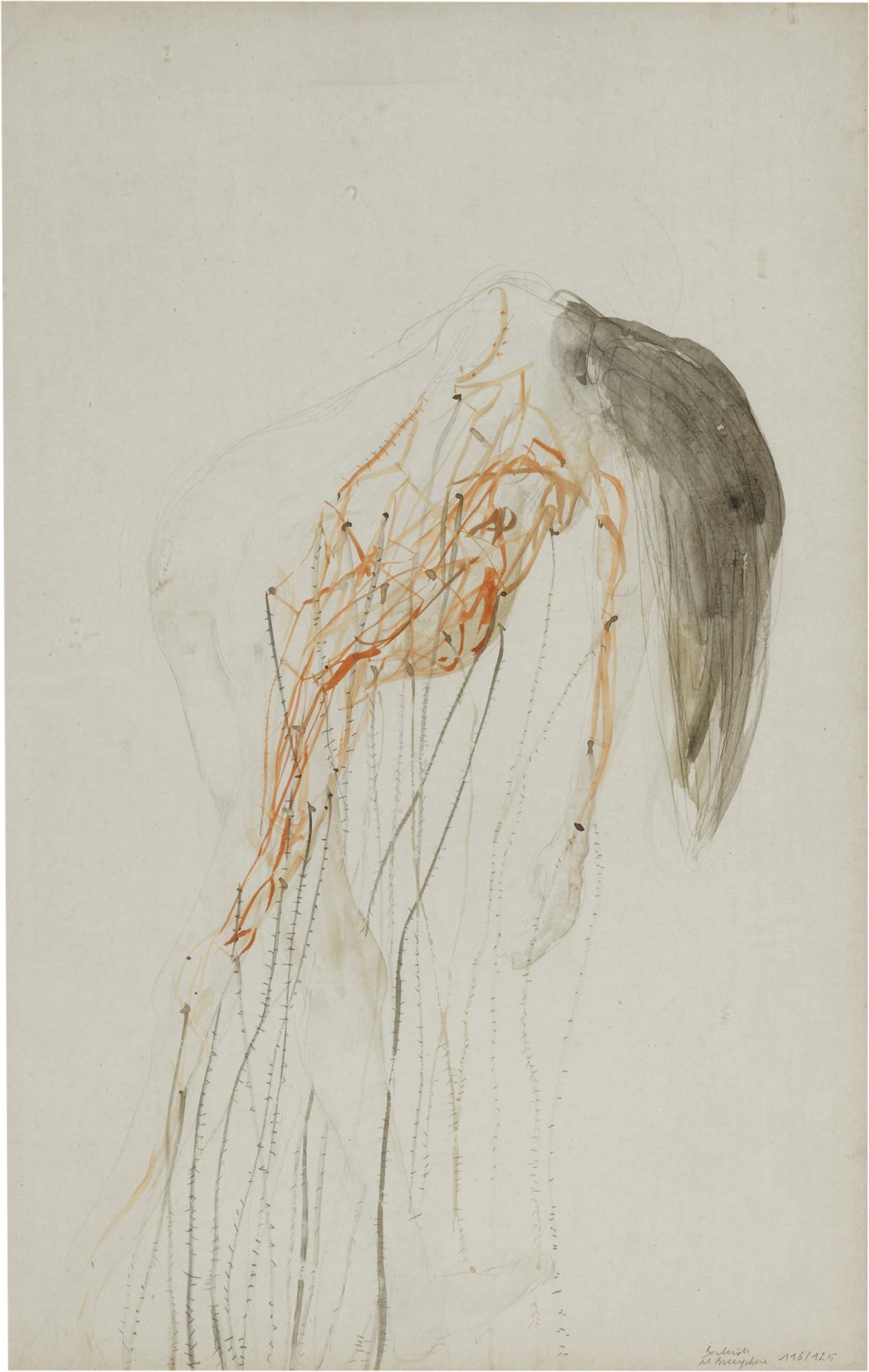 Berlinde de Bruyckere - Parasiet