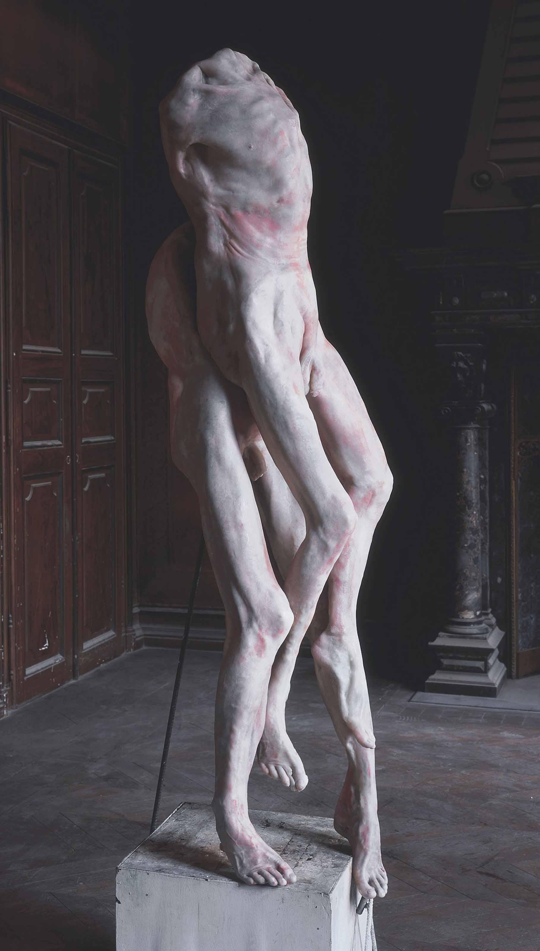 Berlinde De Bruyckere - Pietà