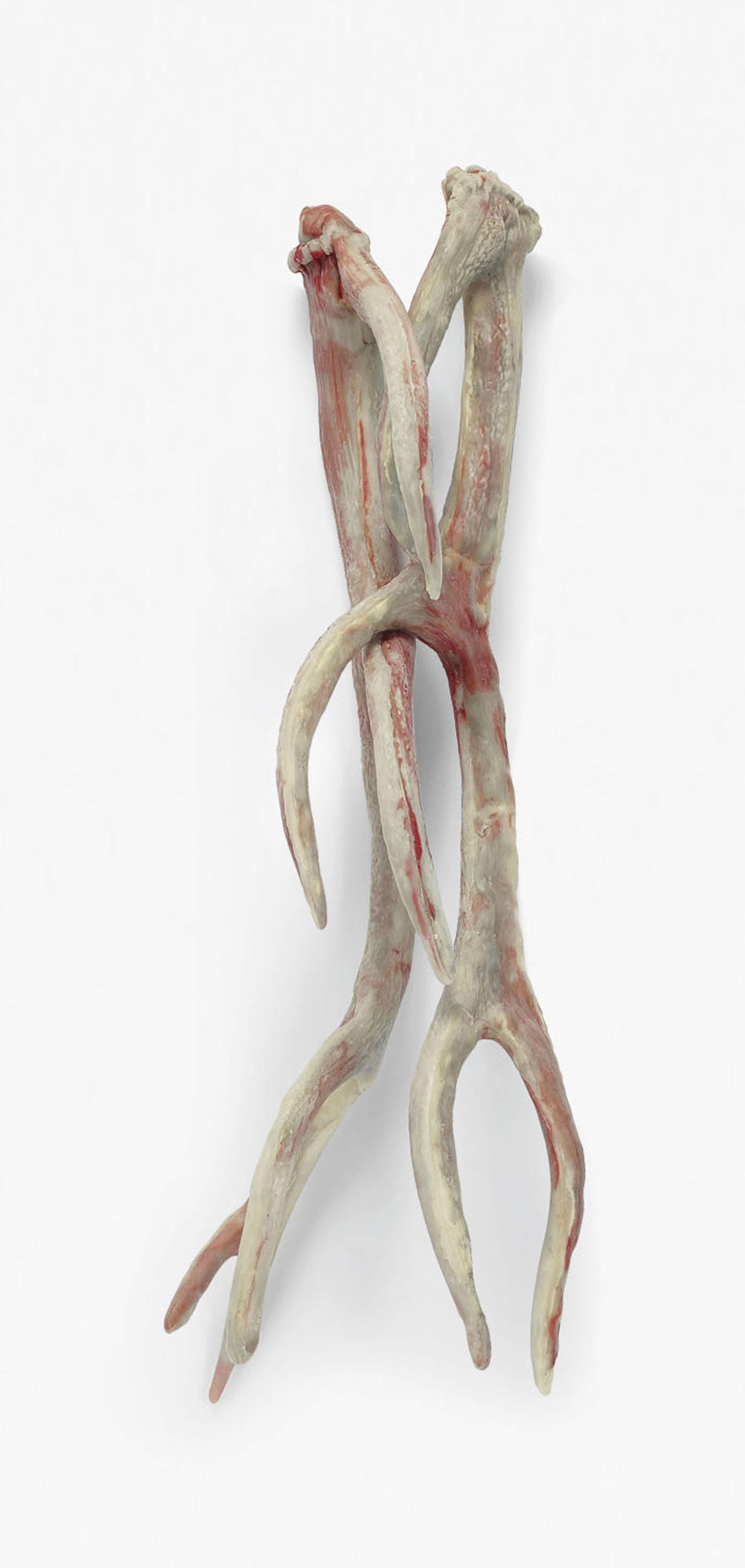 Berlinde De Bruyckere - Romeo \'My Deer\' VI