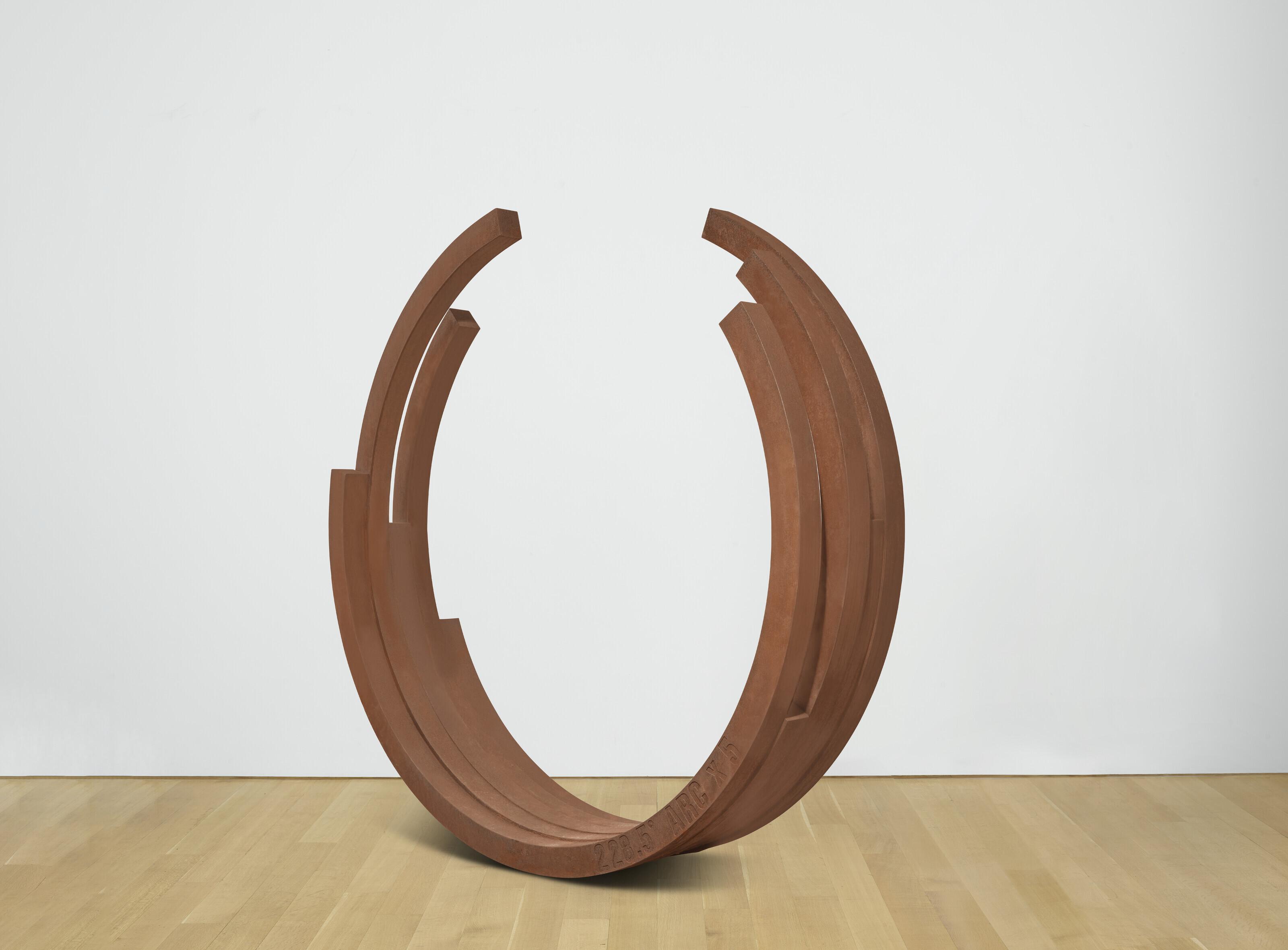 Bernar Venet - 228.5º Arc X 5