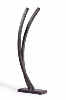 Bernar Venet - 77.5 Arcs