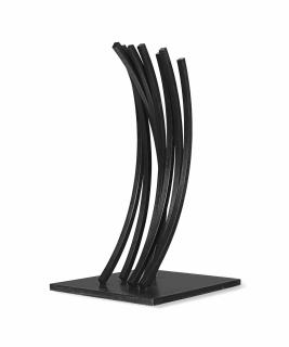 Bernar Venet - 79.5 Degrees Arcs