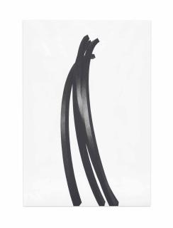 Bernar Venet - Arcs