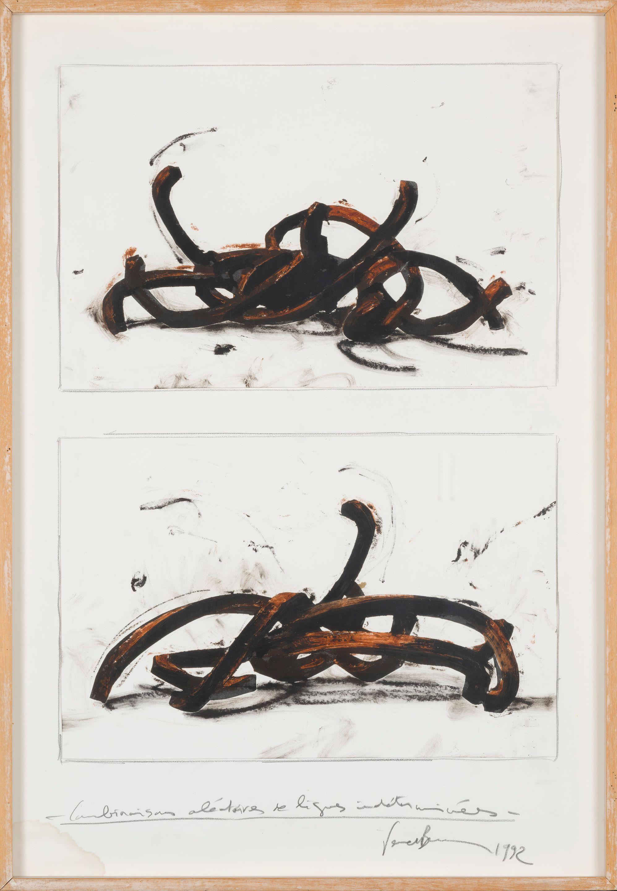 Bernar Venet - Combinaison aléatoire de lignes indéterminées