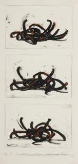 Bernar Venet - Combinaison Aléatoire De Lignes Indéterminées