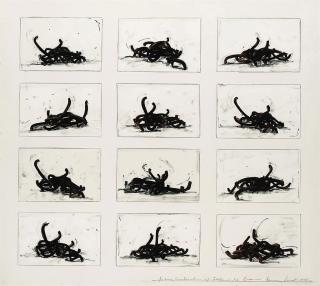 Bernar Venet - Random Combination of Indeterminate Lines