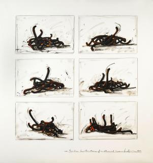 Bernar Venet - Random Combination of Undetermined Lines