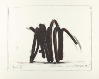 Bernar Venet - Two Indeterminate Lines.