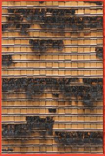 Bernard Aubertin - Dessin de Feu