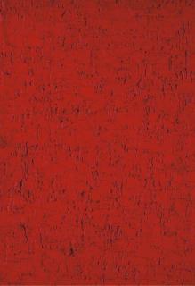 Bernard Aubertin - Monochrome Rouge