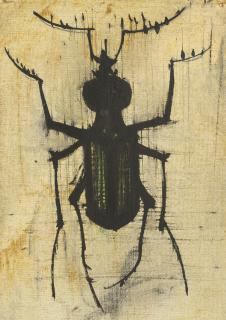 Bernard Buffet - Coléoptère