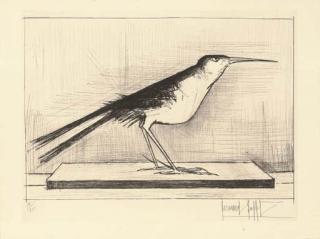 Bernard Buffet - Hirondelle de mer (R. 43)