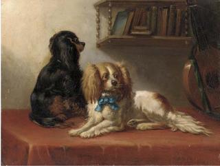 Bernard De Gempt - Two King Charles spaniels with a lute on a draped table