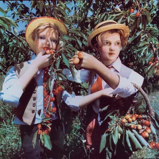 Bernard Faucon - La cueillette, 1978