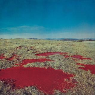 Bernard Faucon - Les Flaques, de la série \'Les idoles et les sacrifices\', 1989