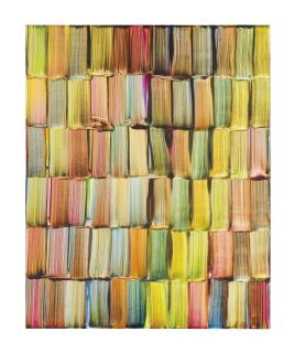 Bernard Frize - Recueils (Collections)