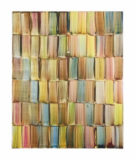 Bernard Frize - Registres