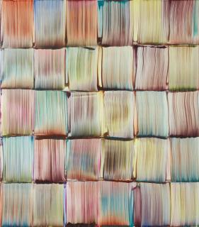 Bernard Frize - Similaire