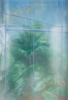 Bernard Moninot - Palmeraie Ii