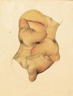 Bernard Réquichot - Untitled