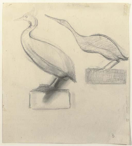 Bernard Richters - Bird On Base
