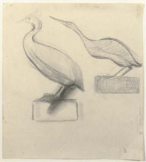 Bernard Richters - Bird On Base