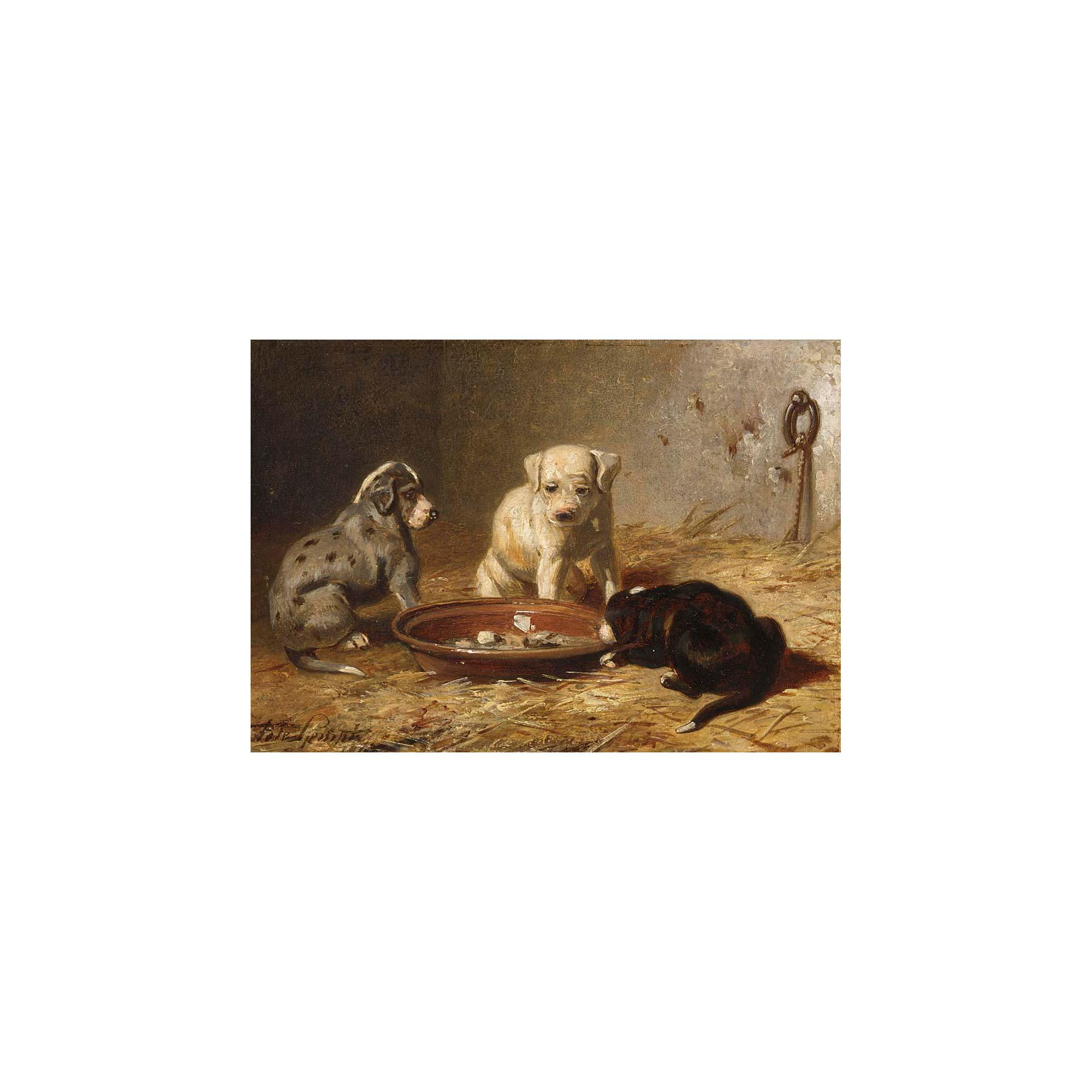 Bernard te Gempt - A New Experience