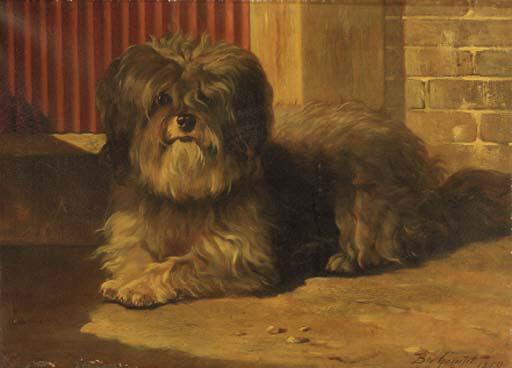 Bernard te Gempt - A Tibetan terrier
