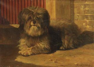 Bernard te Gempt - A Tibetan terrier