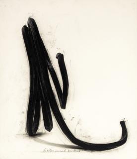 Bernard Venet - Undetermined Line #13