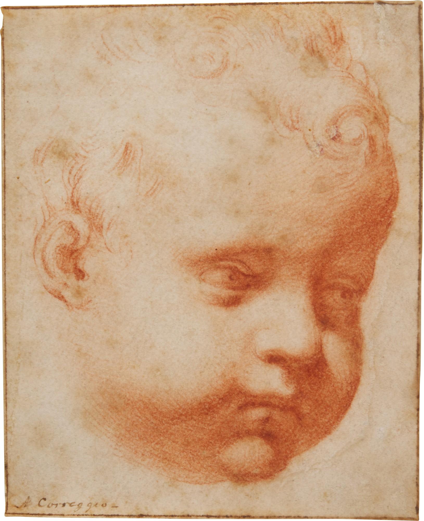 Bernardino Barbatelli - Head of a young child