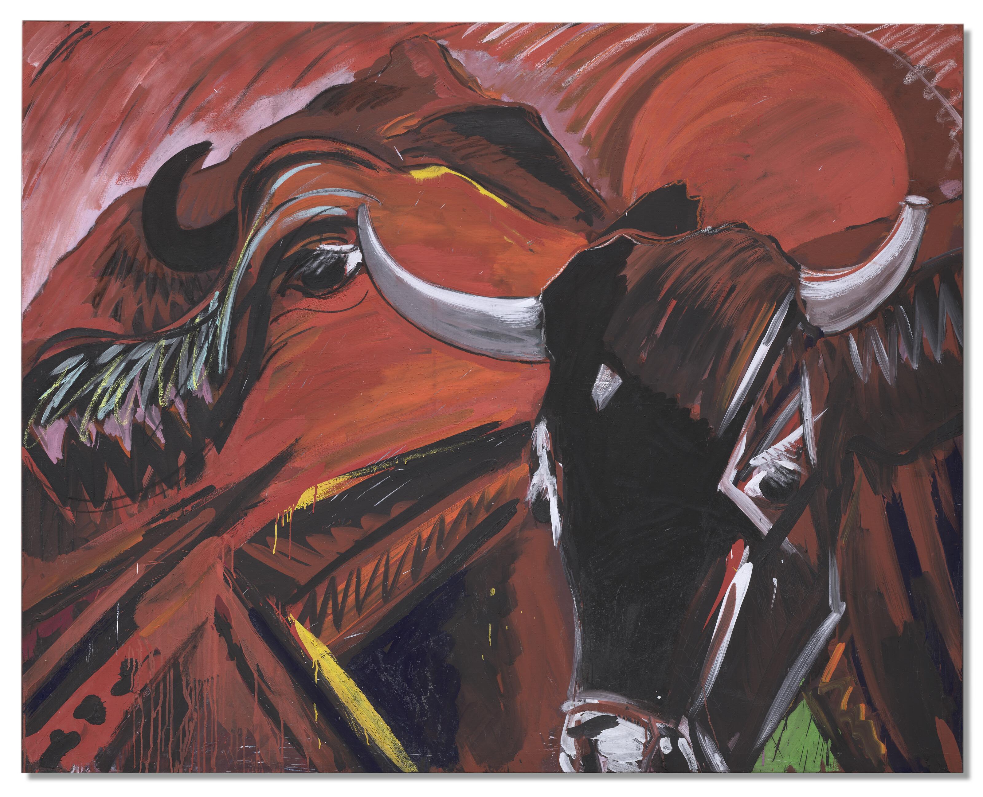 Bernd Zimmer - Kuhschädel