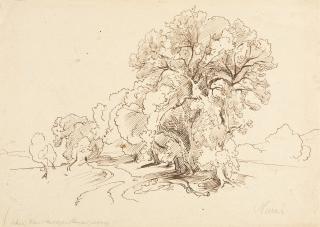 Bernhard Fries - „Narni“.