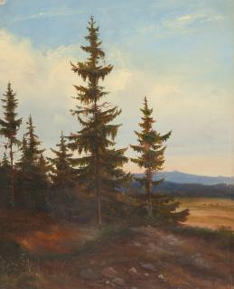 Bernhard Stange - Tannen vor einer Lichtung