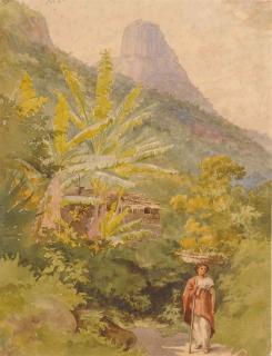 Bernhard Wiegandt - A Brazilian woman carrying a basket of fruit on her head, with Sugar Loaf beyond