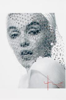 Bert Stern - Veil at you.